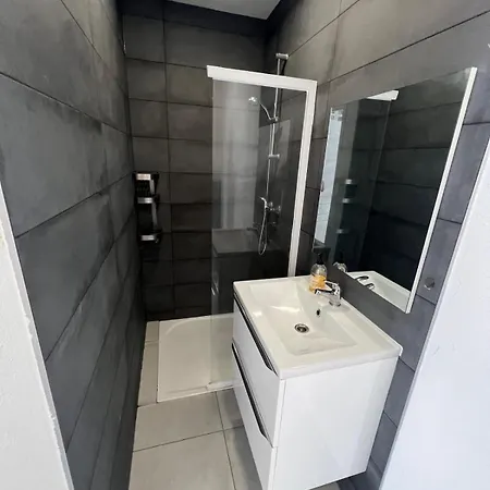 Sublime 2 Pieces Style Bourgeois Lägenhet Mulhouse